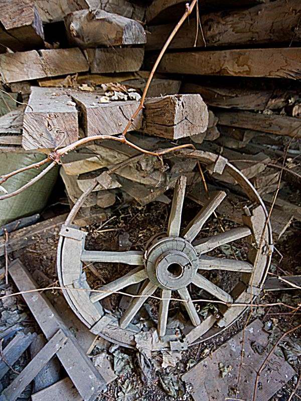 � ������ ����� ����� ���� ������������ �� PhotoGeek.ru #��������� #���������������