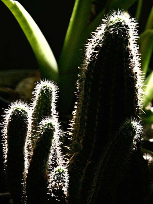 ������� ����� ���� ������������ �� PhotoGeek.ru #��������� #���������������