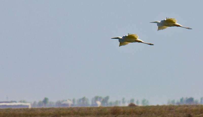 ����� ����� ���� ������������ �� PhotoGeek.ru #�������� ��� #����� ��� ��� ���������