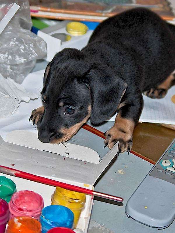 ���� ��������... ������� ����� ���� ������������ �� PhotoGeek.ru #�������� ��� #�������� ���