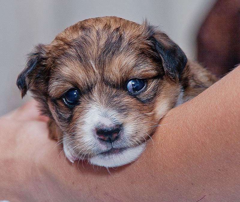 ����� ����� ���� ������������ �� PhotoGeek.ru #�������� ��� #������� #�������� ���