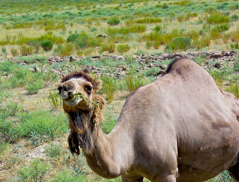 ������� ����� ���� ������������ �� PhotoGeek.ru #�������� ��� #������� #�������� ��� #������