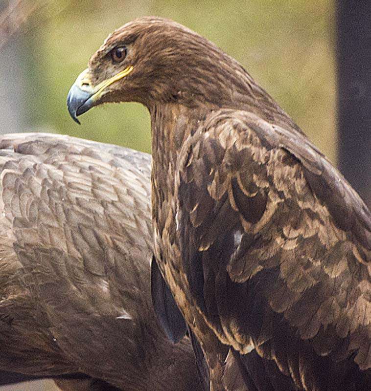 � �������� ����� ���� ������������ �� PhotoGeek.ru #�������� ��� #������ ��� ������� #���������