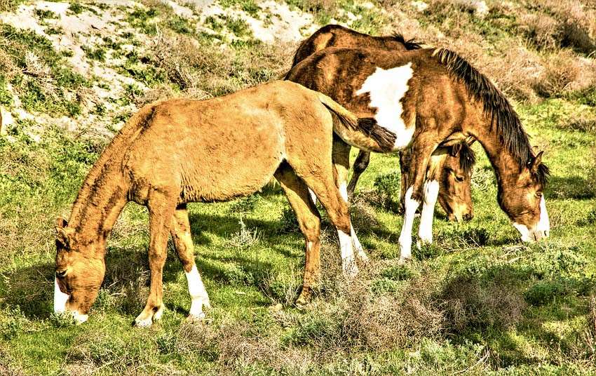 ������ ����� ���� ������������ �� PhotoGeek.ru #�������� ��� #������ ��� ������� #�������� ��� #����� ��������