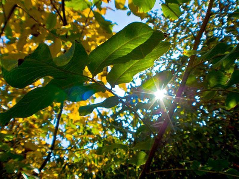 ����� ����� ����� ���� ������������ �� PhotoGeek.ru #������ ��� ������� #����� ��������������