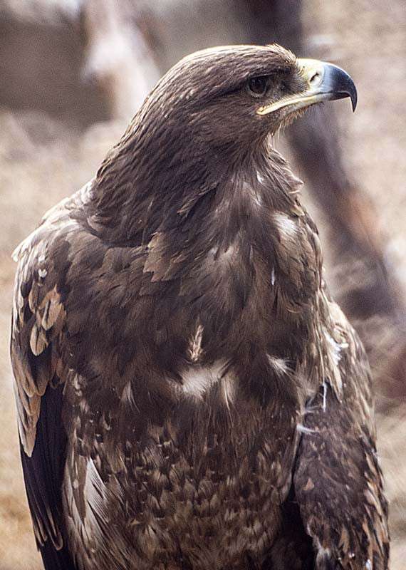 ���� ����� ���� ������������ �� PhotoGeek.ru #�������� ��� #�������