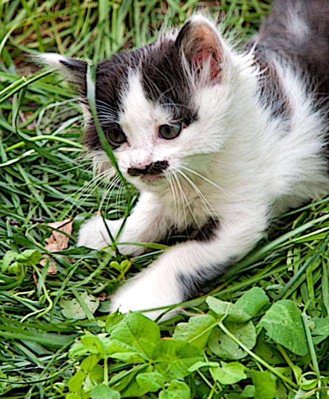 ���������� ����� ���� ������������ �� PhotoGeek.ru #�������� ��� #�������� ���