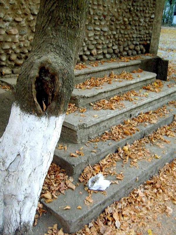 �����. ����� ����� ���� ������������ �� PhotoGeek.ru #������ ��� ������� #����� �������������� #����� ��������