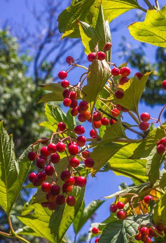 ������� ����� ����� ���� ������������ �� PhotoGeek.ru #������ ��� ������� #����� �������������� #����� ��������