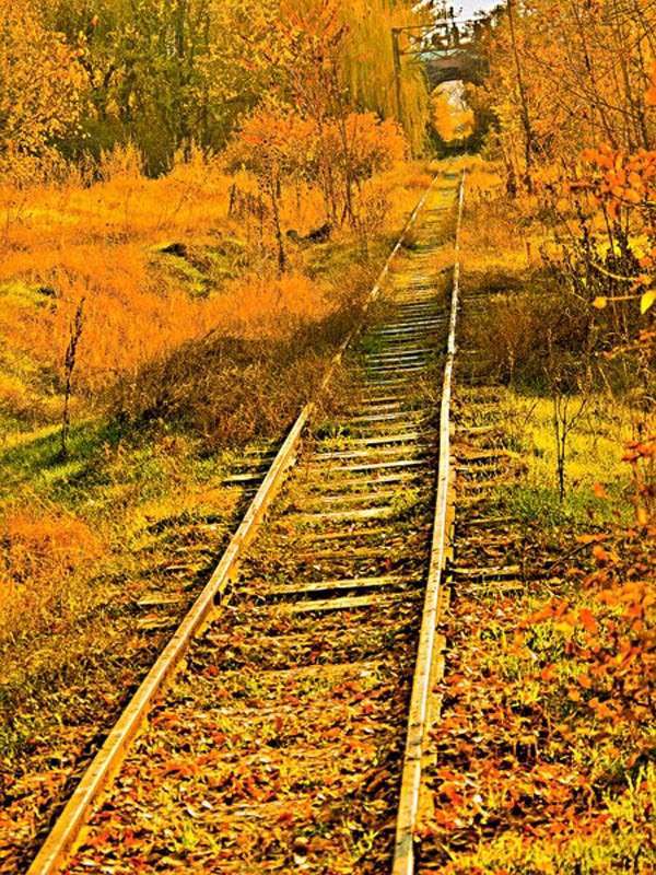 ������� ������ ����� ���� ������������ �� PhotoGeek.ru #������ ��� ������� #����� ��������������