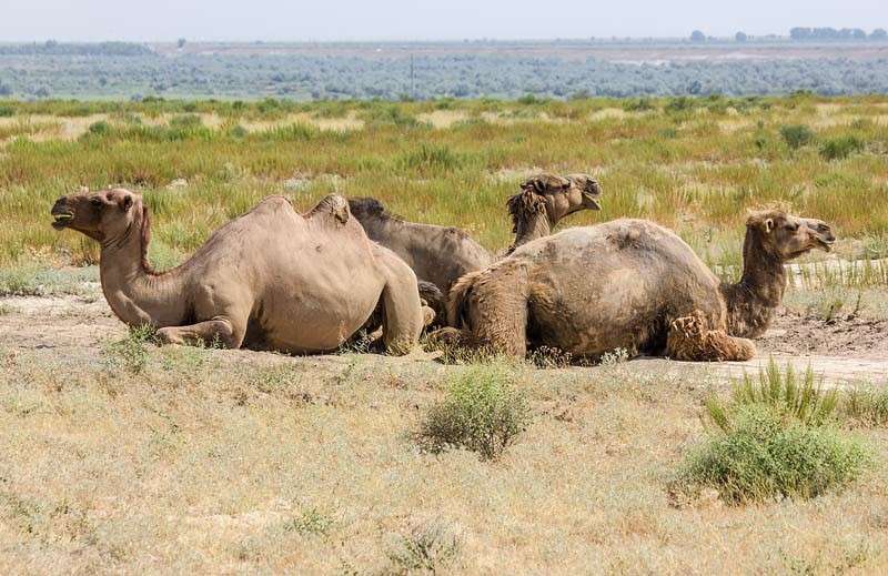 ������ ����� ���� ������������ �� PhotoGeek.ru #�������� ��� #������ ��� �������