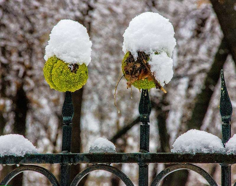 ����. ����� ���� ����� ���� ������������ �� PhotoGeek.ru #�������� ���������� #���������������