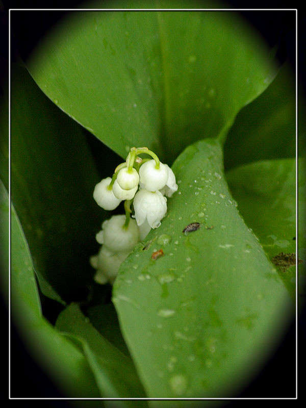 ������ ����� ���� ������������ �� PhotoGeek.ru #��������� #������ ��� ������� #����� �������������� #���������������