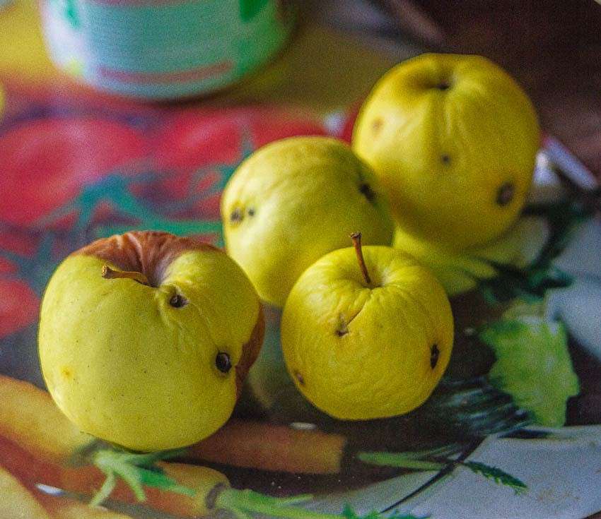 �������� ����� ���� ������������ �� PhotoGeek.ru #��������� #���������������