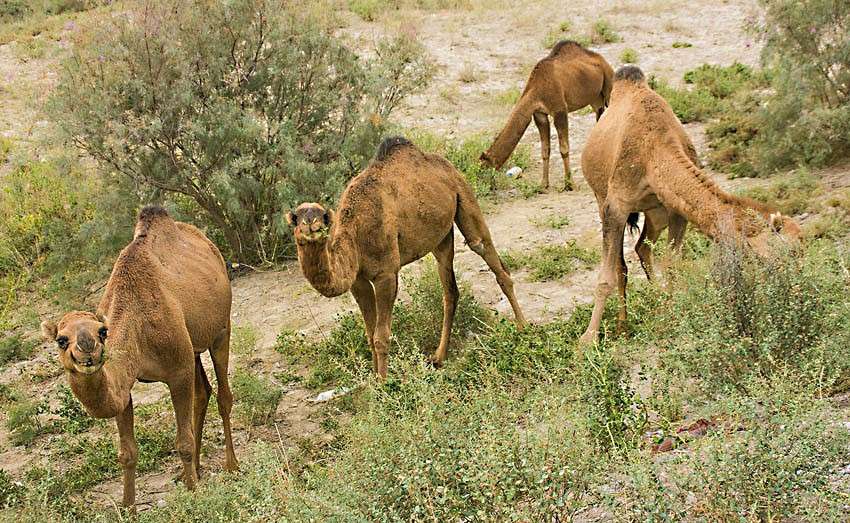 �������� ����� ���� ������������ �� PhotoGeek.ru #�������� ��� #������ ��� ������� #�������� ���