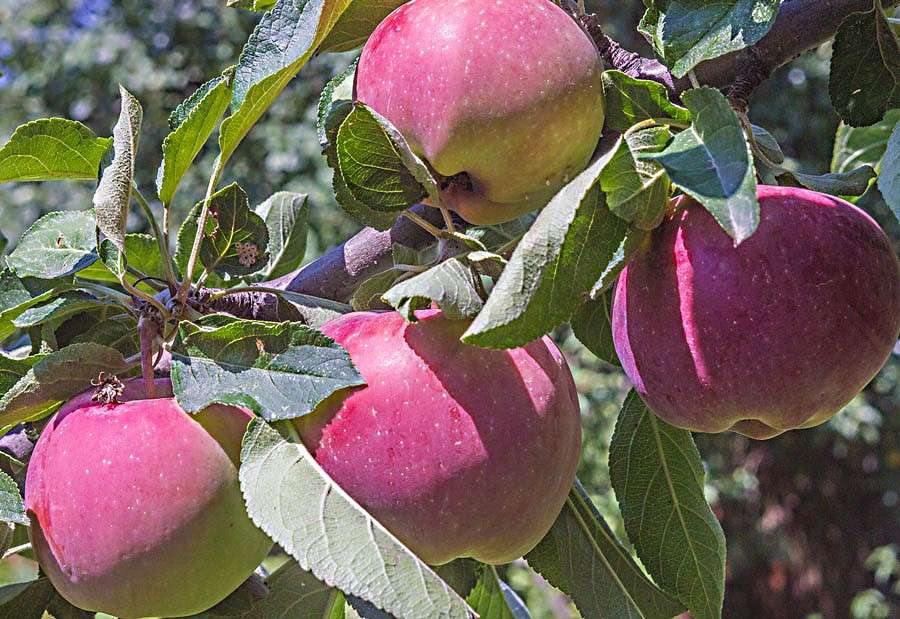 ������� ����� ���� ������������ �� PhotoGeek.ru #��������� #������ ��� ������� #����� �������������� #���������������