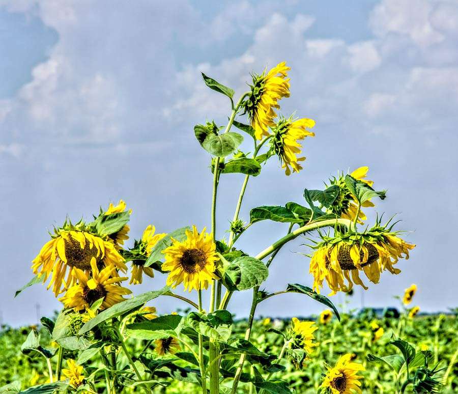 ��������� ����� ���� ������������ �� PhotoGeek.ru #������ ��� ������� #����� �������������� #����� ��������