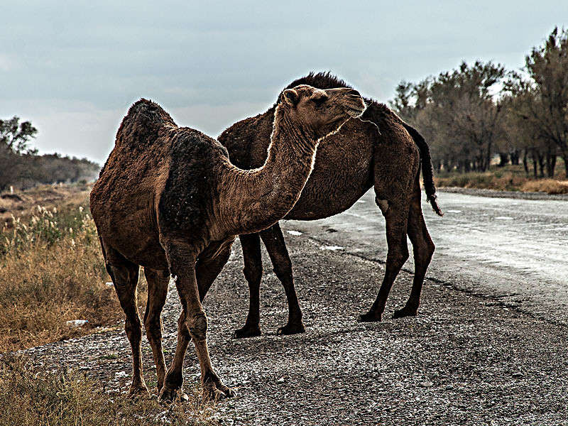 ������� ������� ����� ���� ������������ �� PhotoGeek.ru #�������� ��� #������ ��� ������� #�������� ���