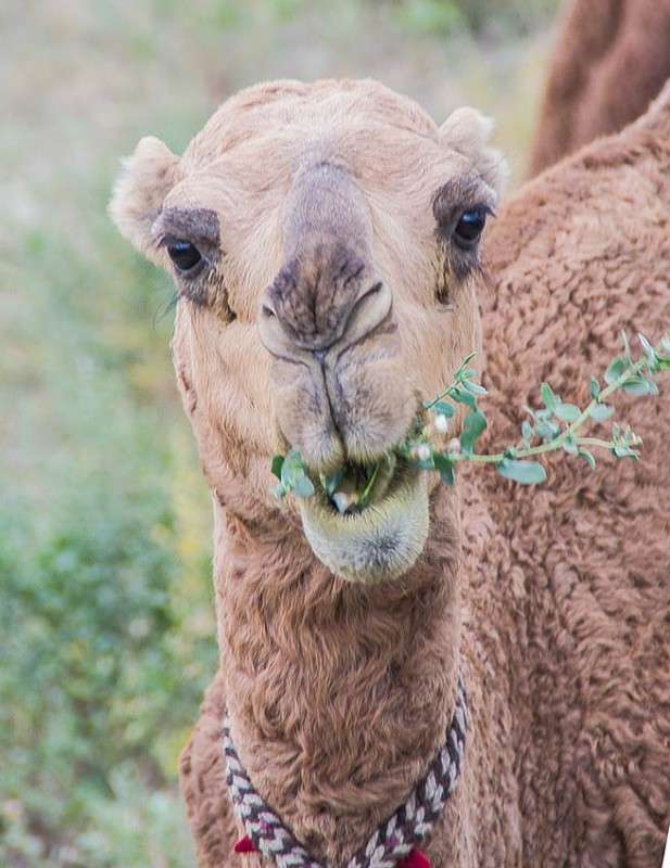 ������� �������� ����� ���� ������������ �� PhotoGeek.ru #�������� ��� #������� #�������� ��� #������