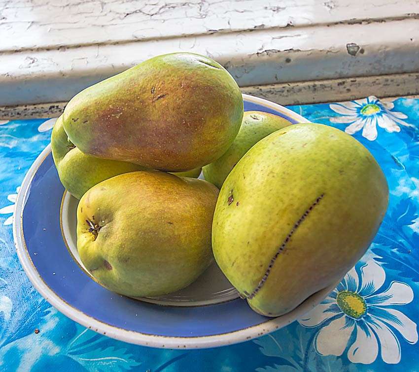 ����� ����� ���� ������������ �� PhotoGeek.ru #��������� #���������������