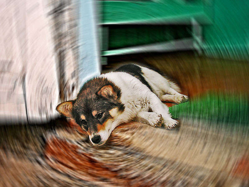 �� ������ ����� ���� ������������ �� PhotoGeek.ru #�������� ��� #�������� ���