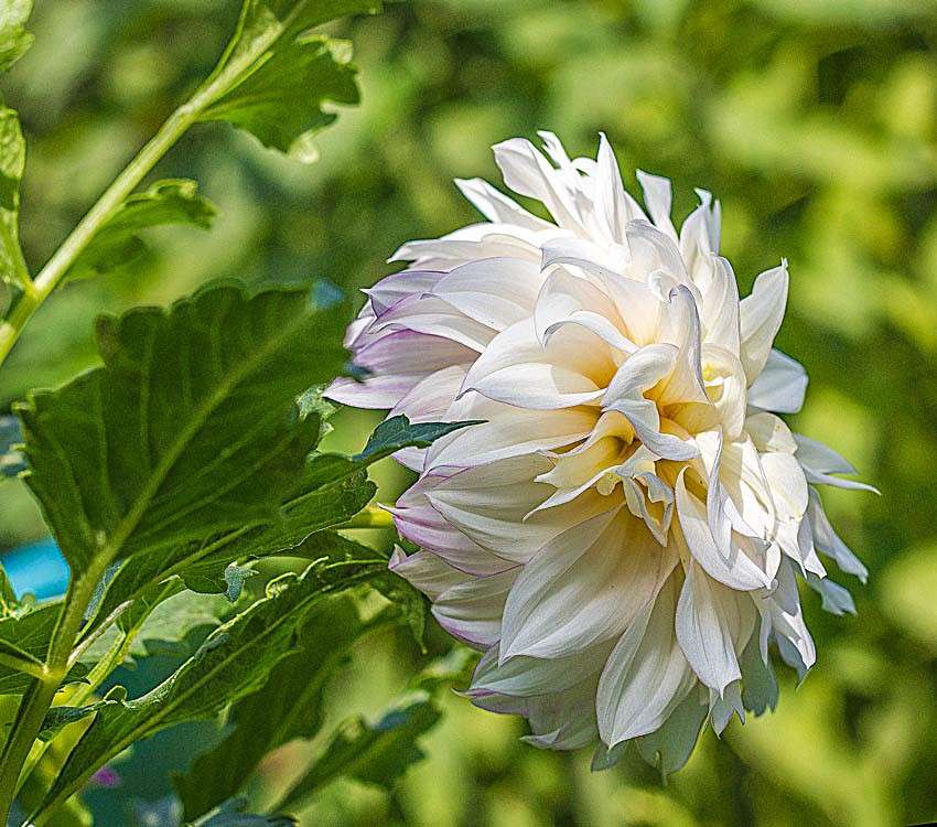 ������ ����� ���� ������������ �� PhotoGeek.ru #��������� #������ ��� ������� #����� ��������������