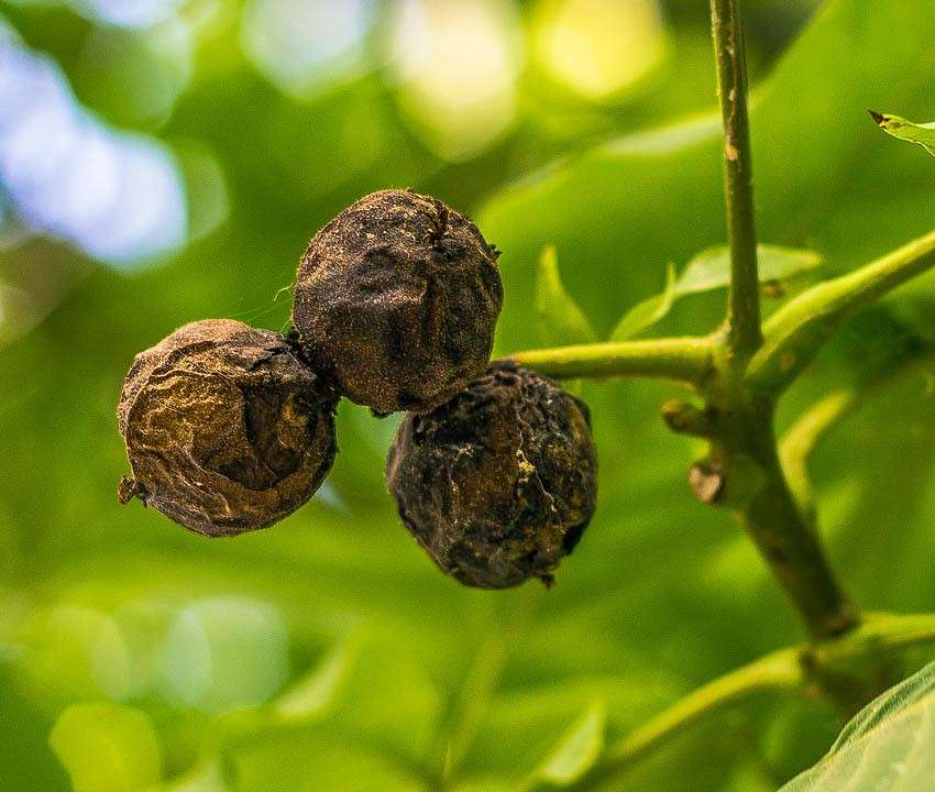 ����� ������� ����� ���� ������������ �� PhotoGeek.ru #��������� #������ ��� ������� #����� �������������� #���������