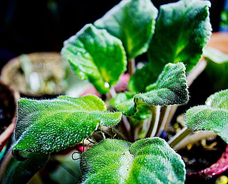 ������ ����� ���� ������������ �� PhotoGeek.ru #��������� #���������������