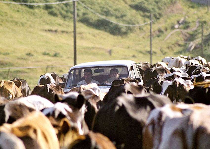 ������ ����� ���� ������������ �� PhotoGeek.ru #������� #�������� ���������� #�������� #���������������