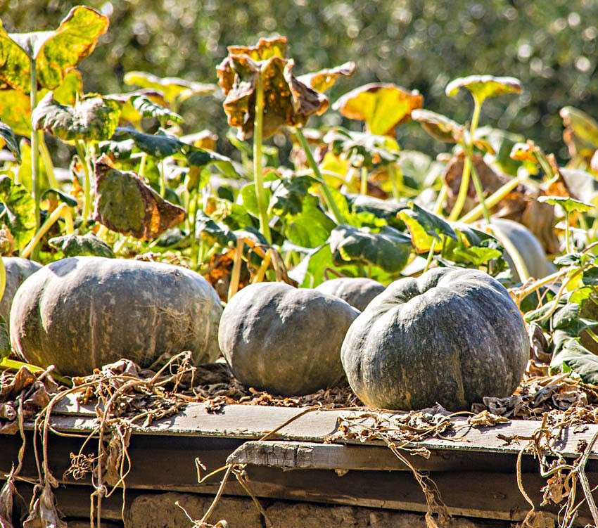 ����� �� ����� ����� ���� ������������ �� PhotoGeek.ru #��������� #������ ��� ������� #����� �������������� #���������������