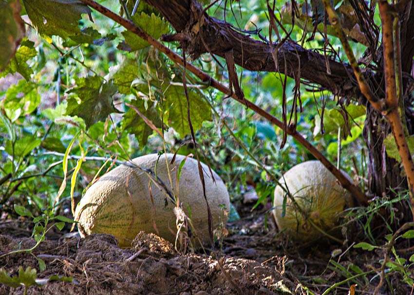 ���� ����� ���� ������������ �� PhotoGeek.ru #��������� #������ ��� ������� #����� �������������� #���������������