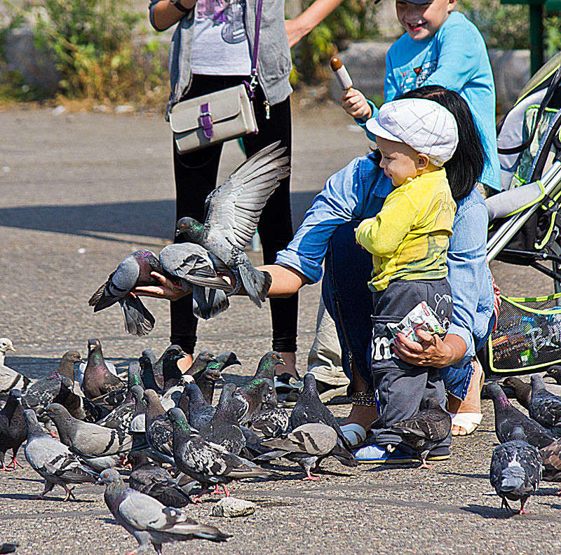 ������ ����� ���� ������������ �� PhotoGeek.ru #����� #�������� ��� #������ ������ #�����-���