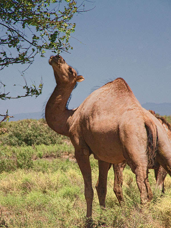 ���� ���� ������� ����� ���� ������������ �� PhotoGeek.ru #�������� ��� #�������� ���