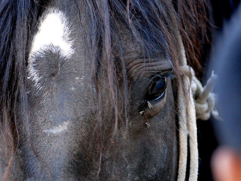 ������ ����� ���� ������������ �� PhotoGeek.ru #�������� ��� #������� #�������� ���