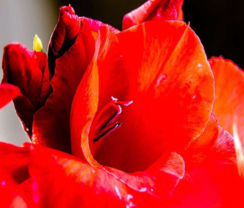 ������� ����� ���� ������������ �� PhotoGeek.ru #����� #��������� #����� �������������� #���������������