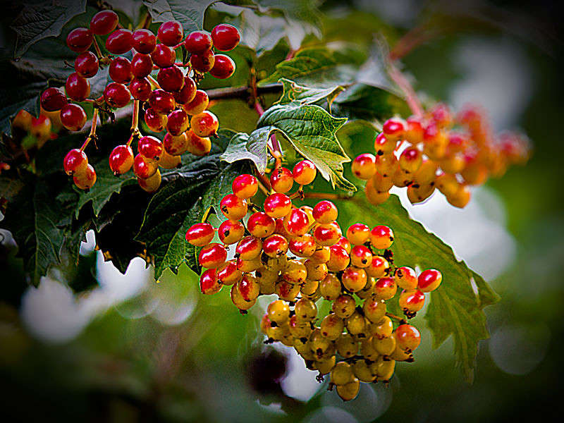 ��������� ����� ����� ���� ������������ �� PhotoGeek.ru #����� #��������� #����� �������������� #���������������