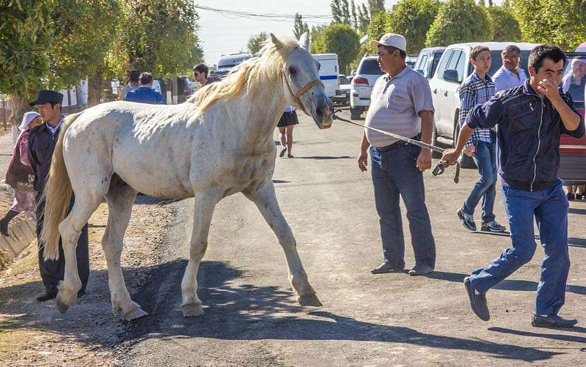 ����� ���� ����� ���� ������������ �� PhotoGeek.ru #�������� #�������������� ����