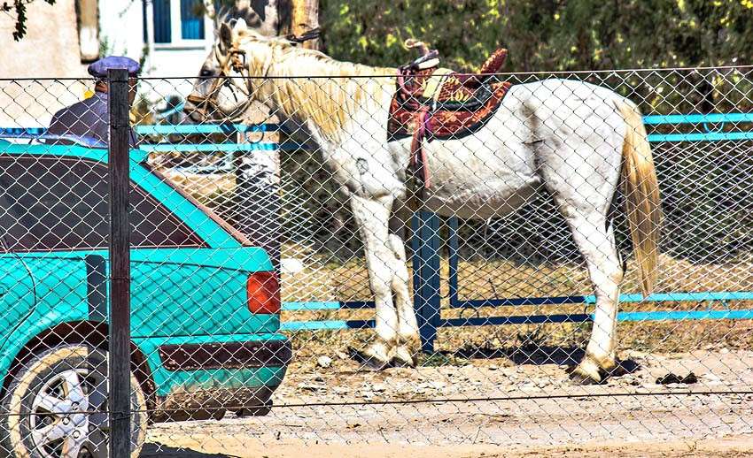 ��� ���� ����� ���� ������������ �� PhotoGeek.ru #�������� ��� #������ ��� ������� #�������� #���������