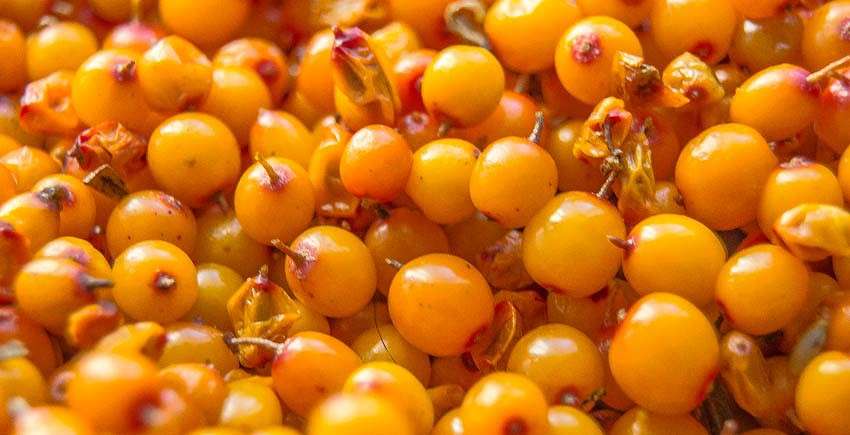 �������� ����� ���� ������������ �� PhotoGeek.ru #��������� #���������������