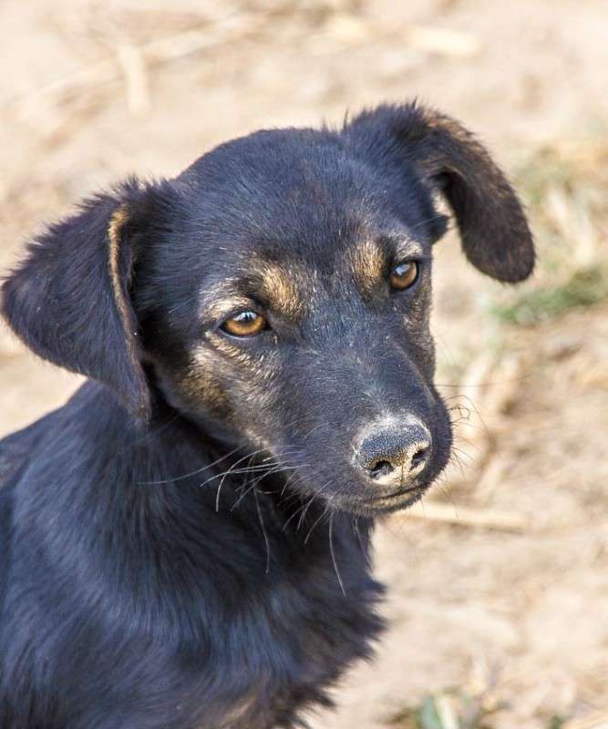 ��� ����� ���� ������������ �� PhotoGeek.ru #�������� ��� #������� #�������� ��� #������