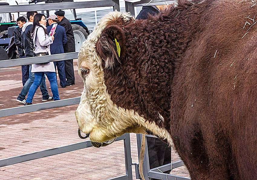 ����� ����� ���� ������������ �� PhotoGeek.ru #�������� ��� #������ ��� ������� #������� #�������� ���