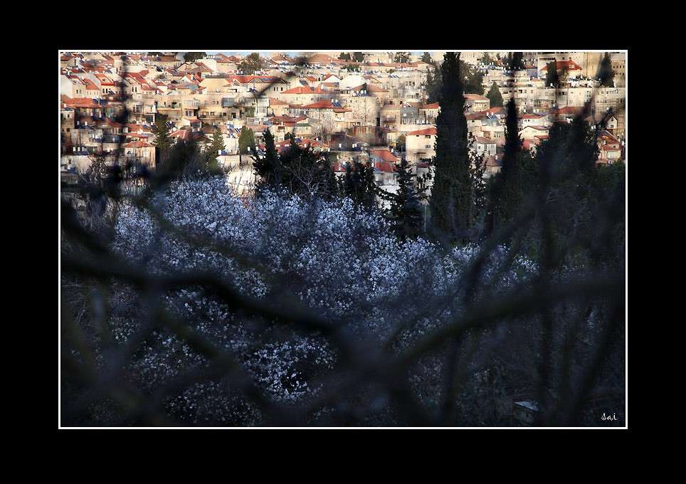 ... ����� Saimon Levin �� PhotoGeek.ru #����� #�������� ����������