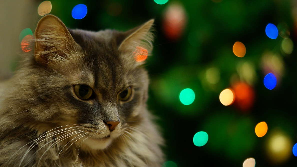 ... ����� ������  �� PhotoGeek.ru #�������� ���