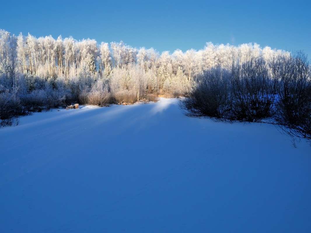 ����� � ������ ����� S  �� PhotoGeek.ru #������ ��� �������