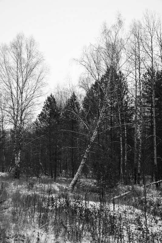 � ���� ����� S  �� PhotoGeek.ru #������ ��� �������