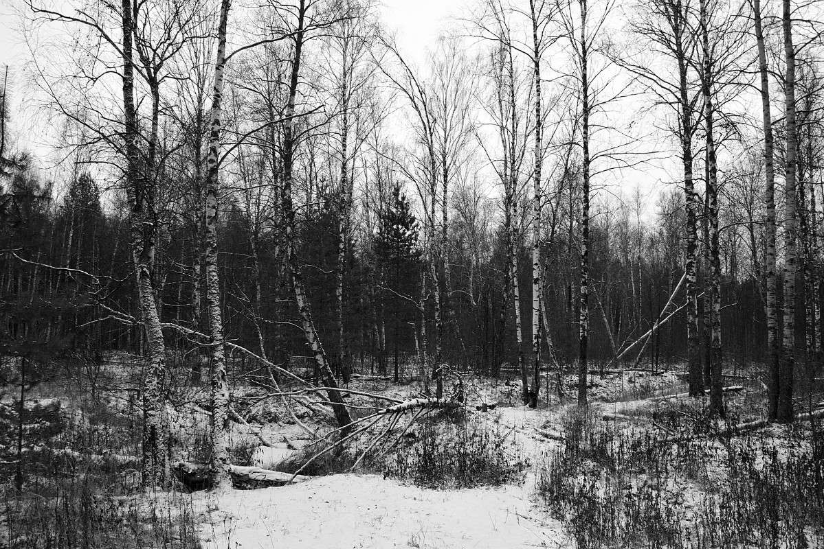 � ����-2 ����� S  �� PhotoGeek.ru #������ ��� �������