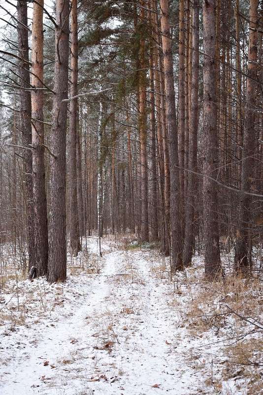 � ����-1 ����� S  �� PhotoGeek.ru #������ ��� �������