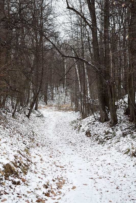 ������ ����� ����� S  �� PhotoGeek.ru #������ ��� �������