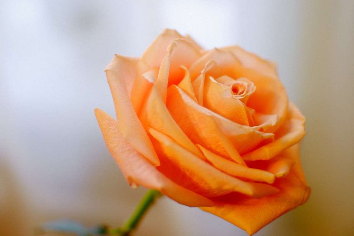 ) ����� S  �� PhotoGeek.ru #��������� #������ ��� �������