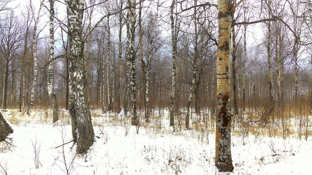 � ���� ����� S  �� PhotoGeek.ru #������ ��� �������